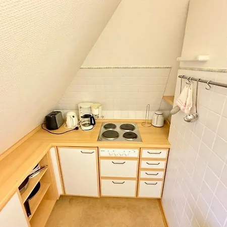 Haus-rieper-2 *